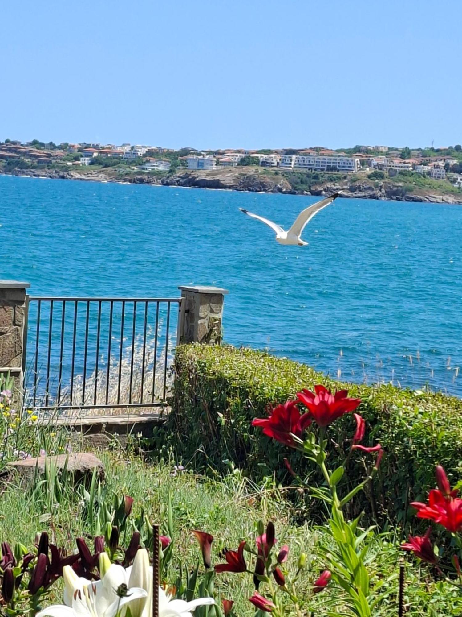 Skalite Sozopol